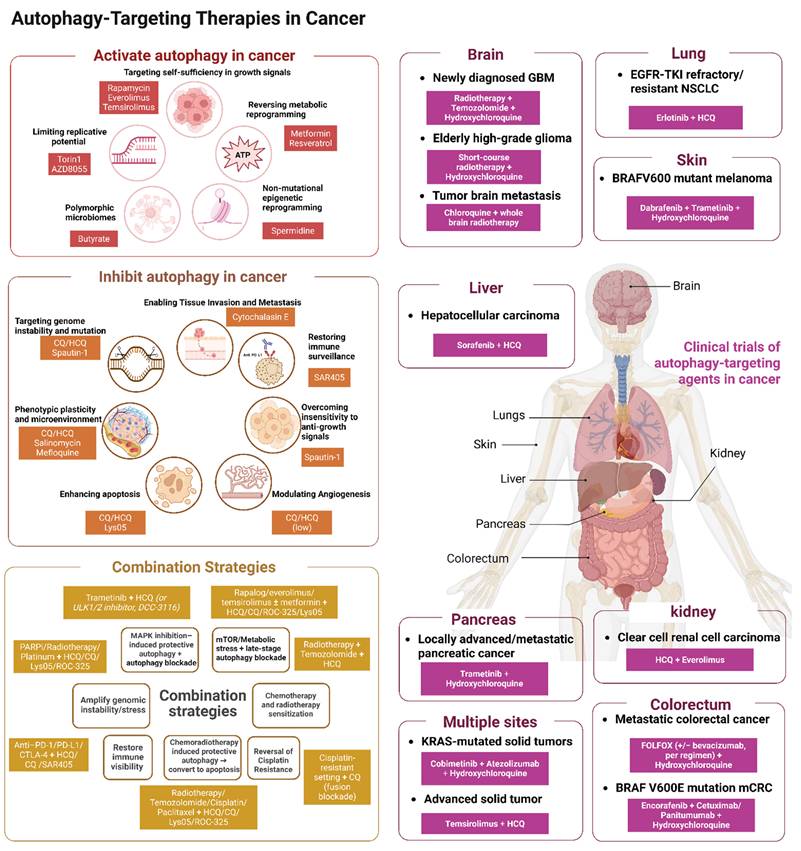 Theranostics Image