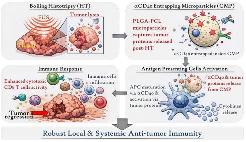 Graphic abstract