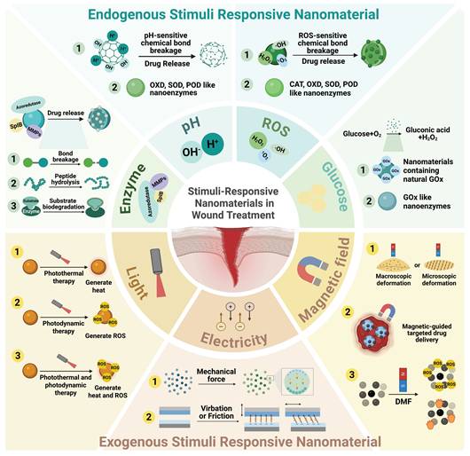 Theranostics Image