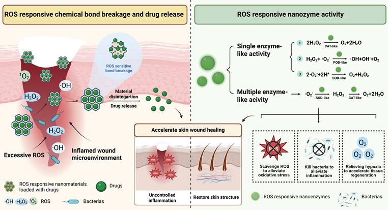 Theranostics Image