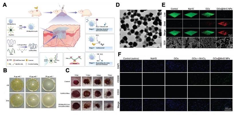 Theranostics Image