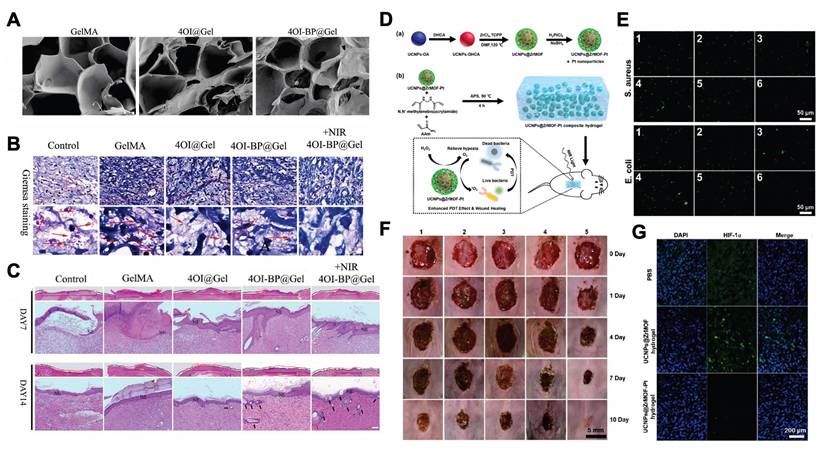 Theranostics Image