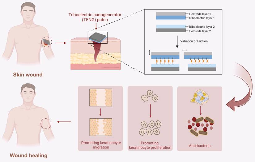 Theranostics Image