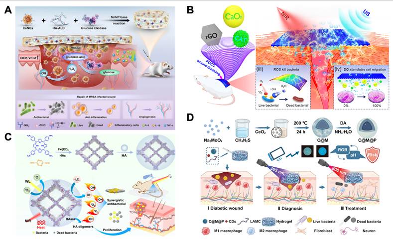 Theranostics Image