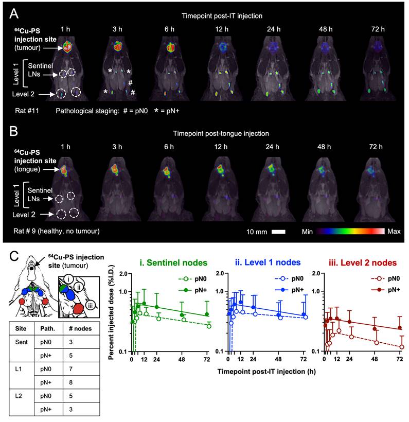 Theranostics Image