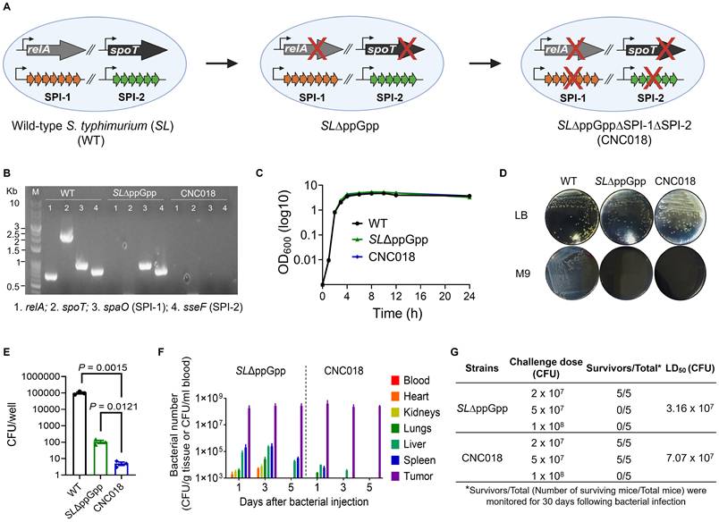 Theranostics Image