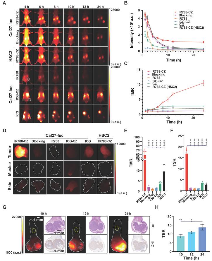 Theranostics Image