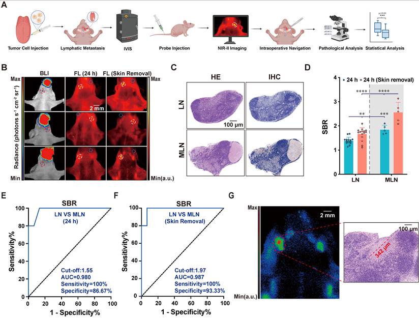 Theranostics Image