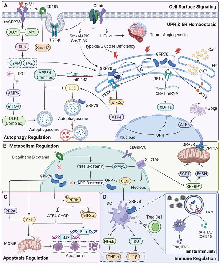 Theranostics Image