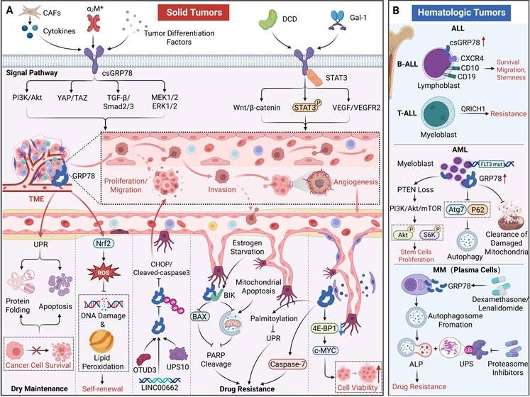 Theranostics Image