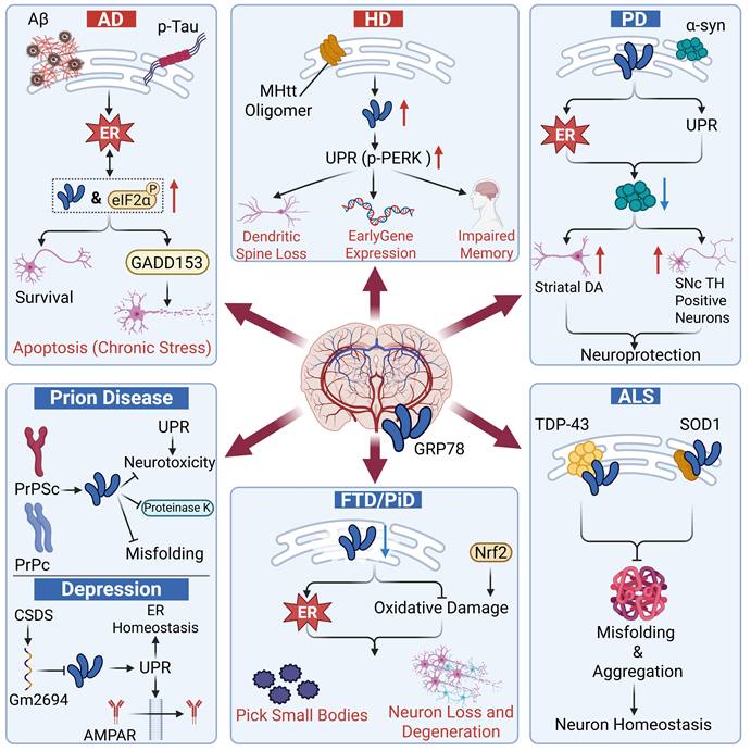 Theranostics Image