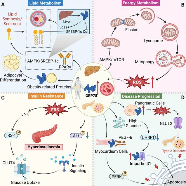 Theranostics Image