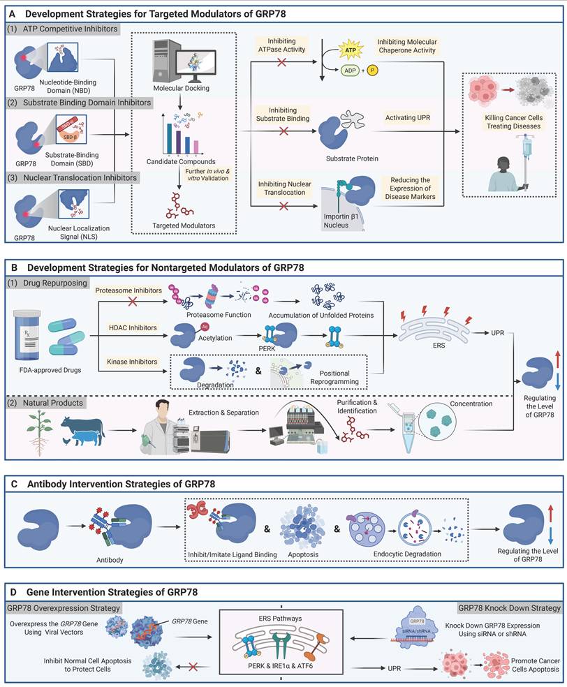 Theranostics Image