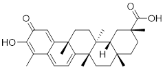 Theranostics inline graphic