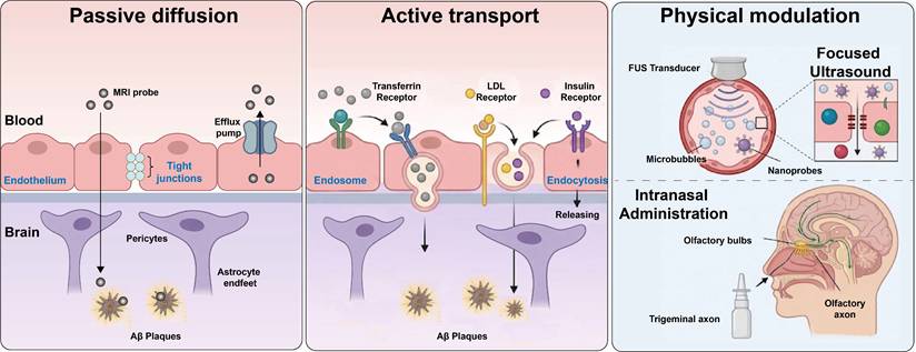 Theranostics Image