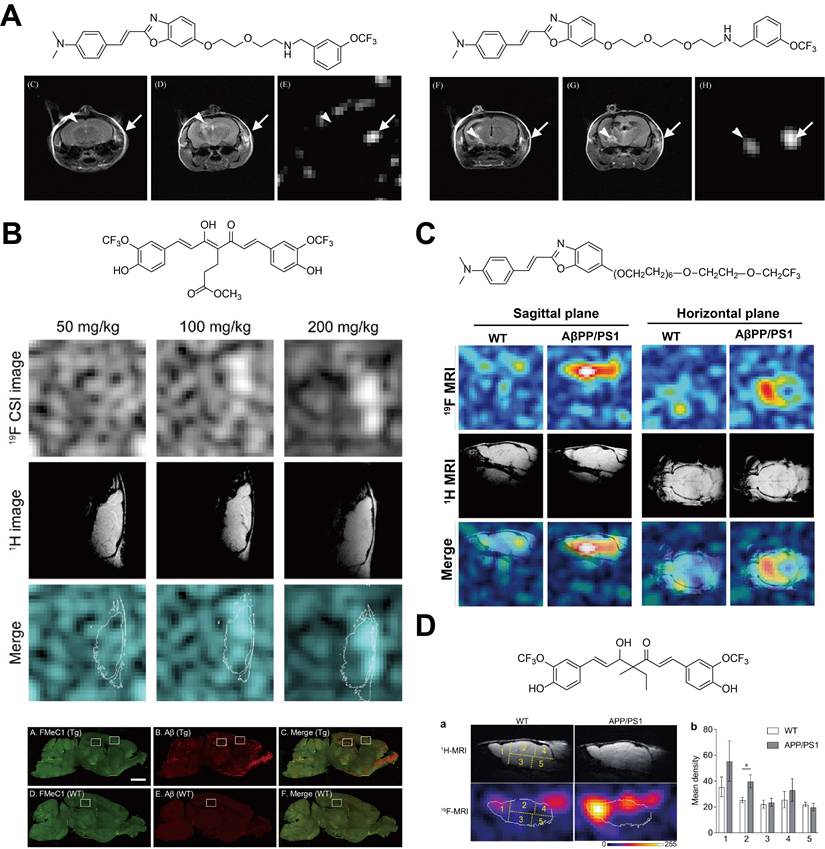 Theranostics Image