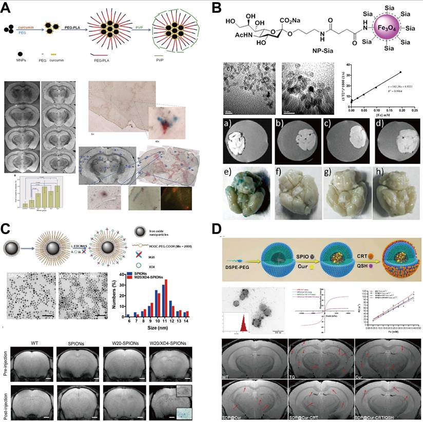 Theranostics Image