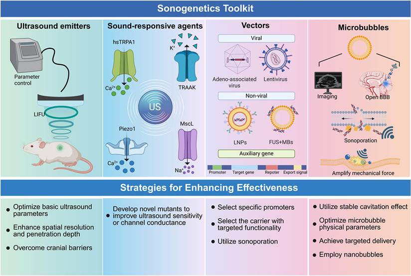 Theranostics Image