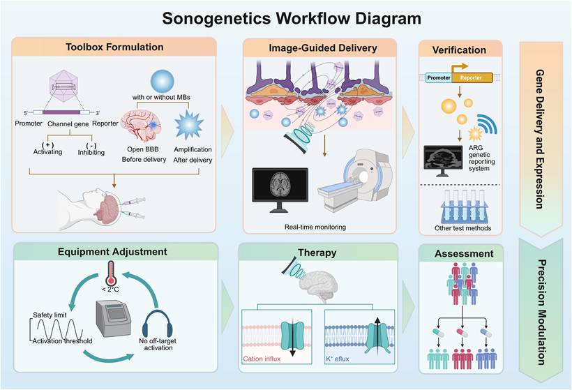 Theranostics Image