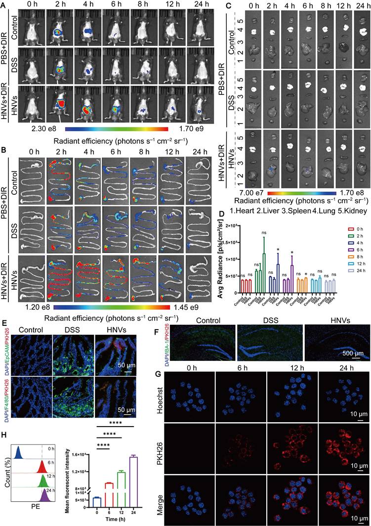 Theranostics Image