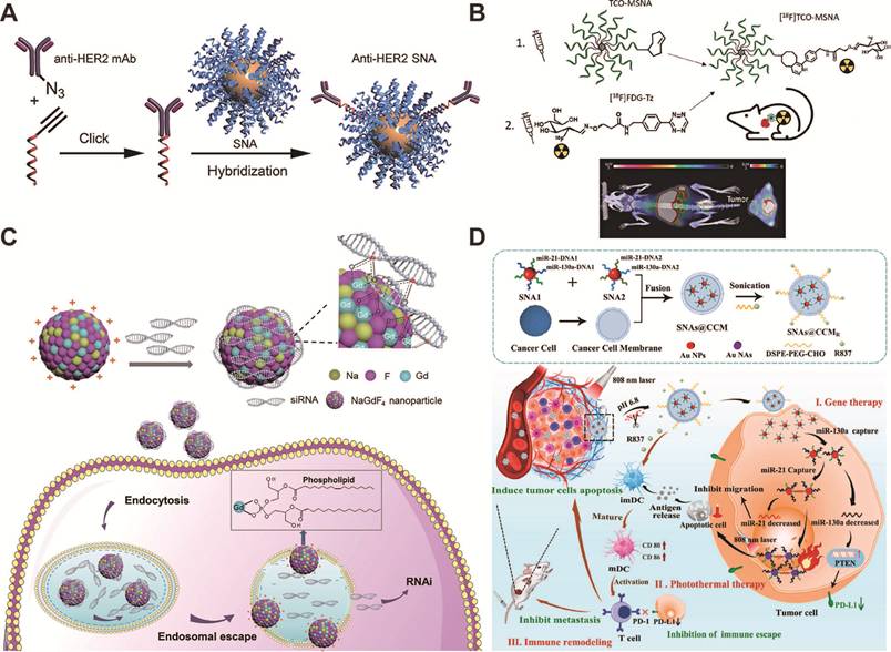 Theranostics Image