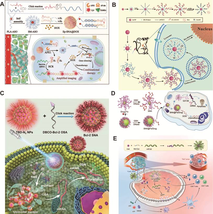 Theranostics Image