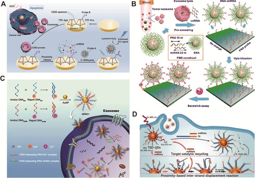 Theranostics Image