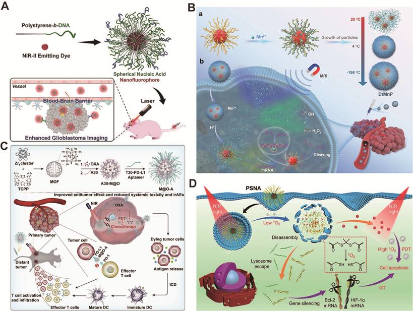 Theranostics Image