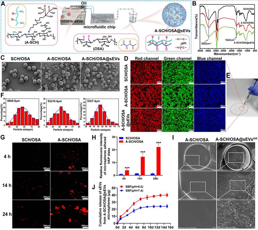 Theranostics Image