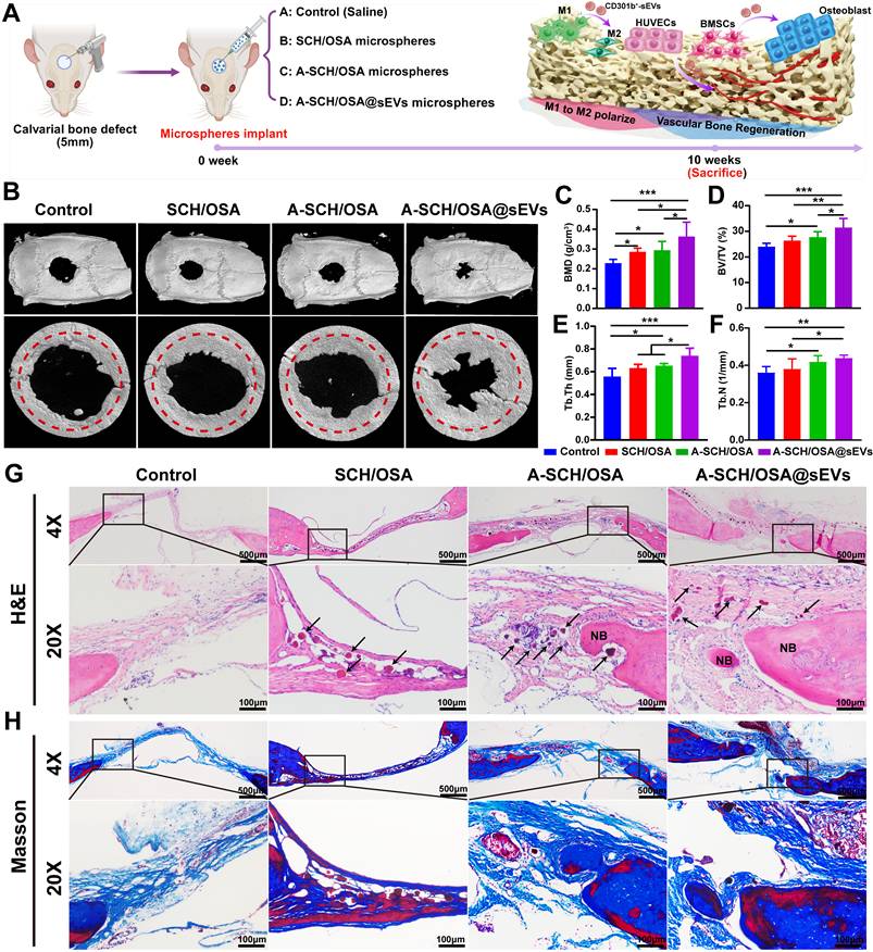 Theranostics Image