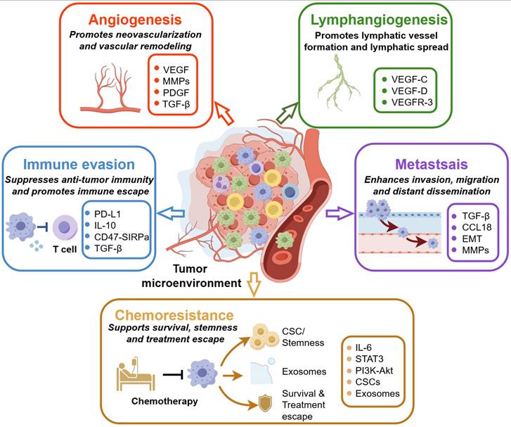 Theranostics Image