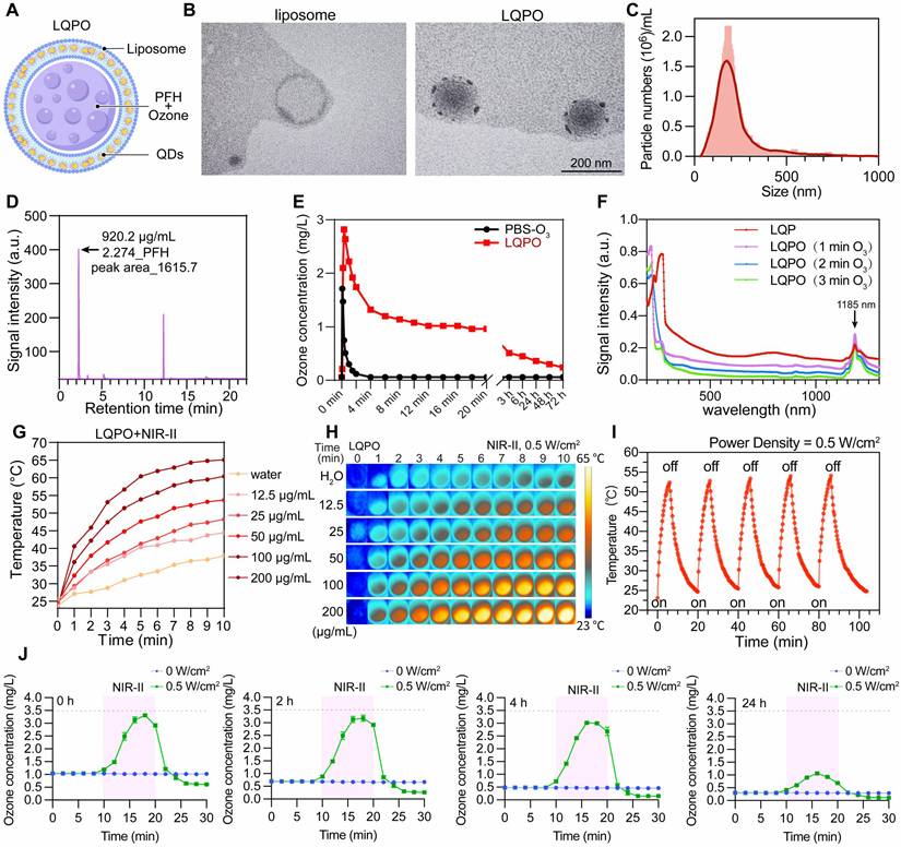 Theranostics Image
