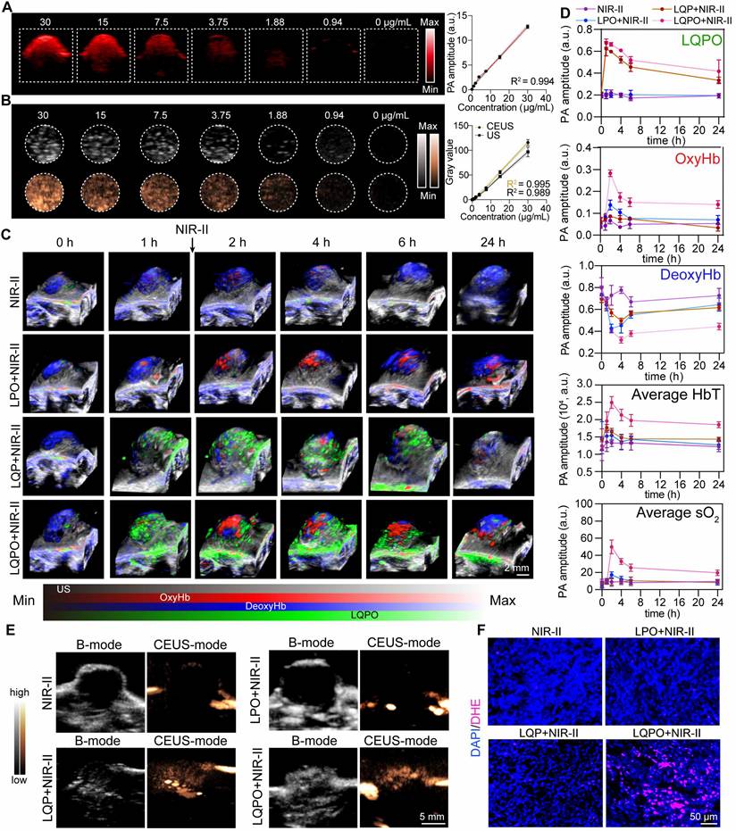 Theranostics Image