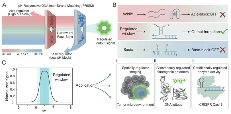 Theranostics Image