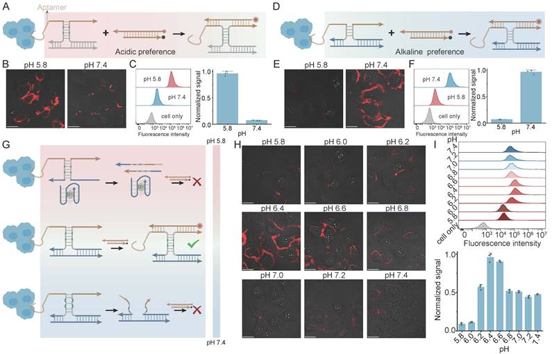 Theranostics Image