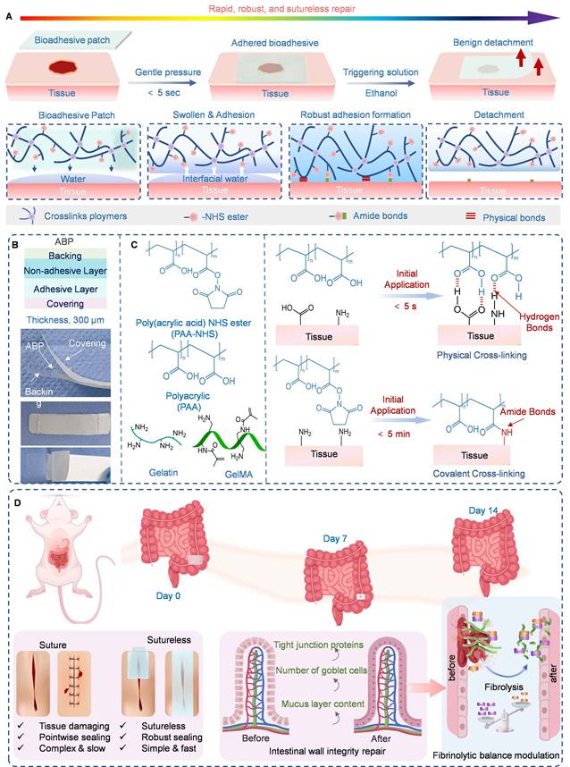 Theranostics Image