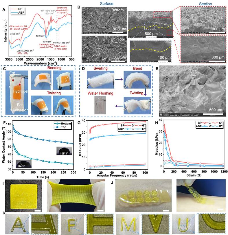 Theranostics Image