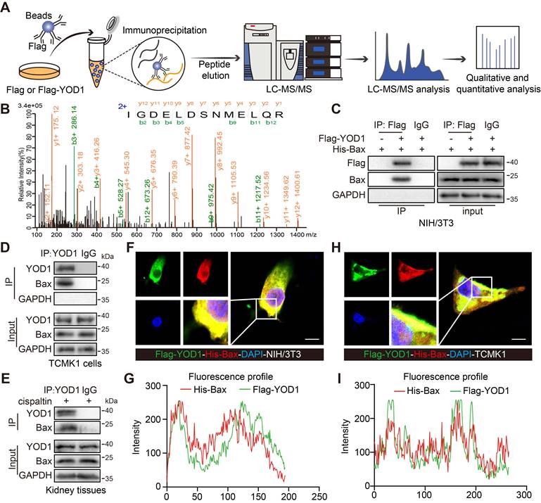 Theranostics Image