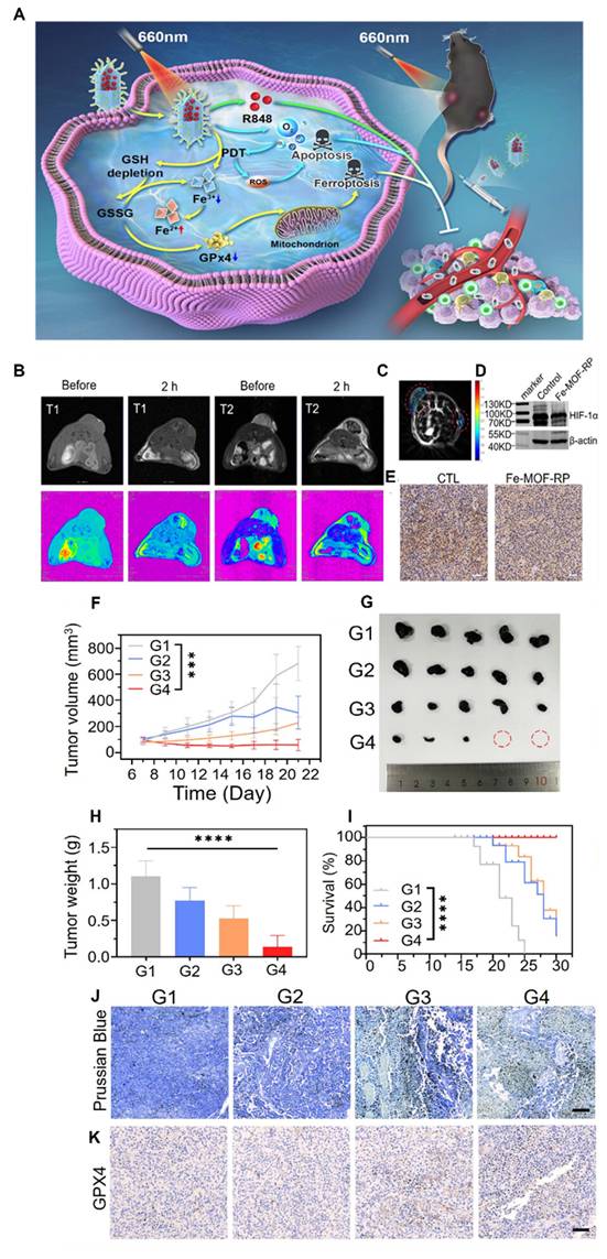 Theranostics Image