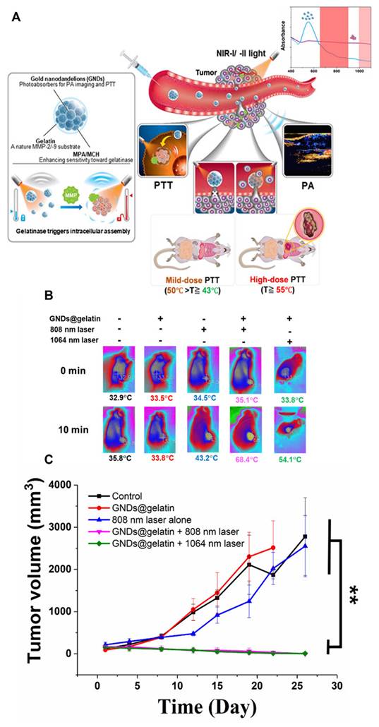 Theranostics Image
