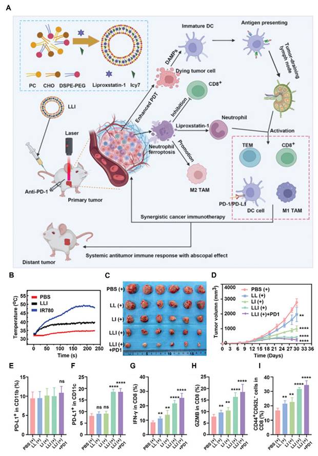 Theranostics Image