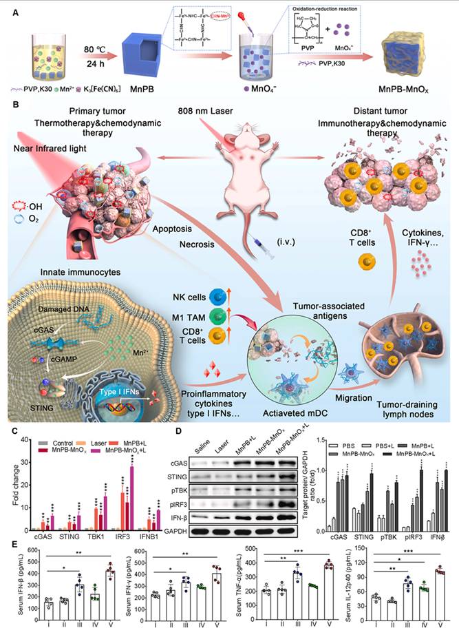 Theranostics Image