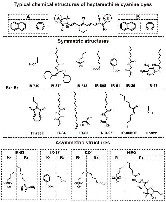 Theranostics Image