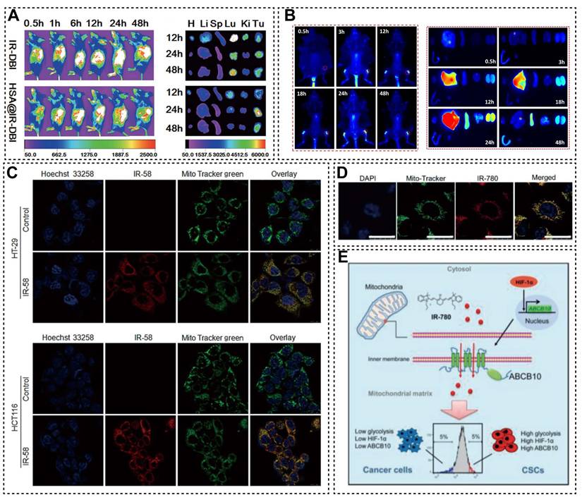 Theranostics Image