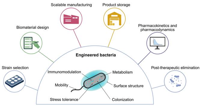 Theranostics Image