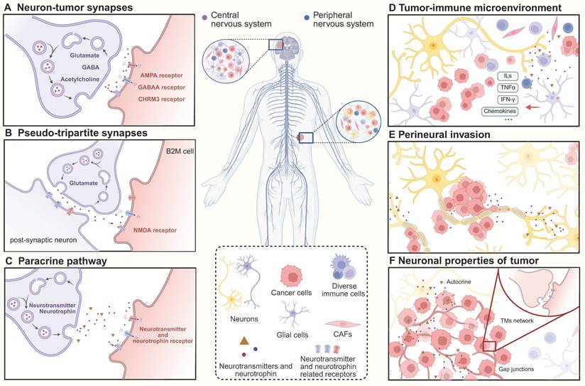 Theranostics Image
