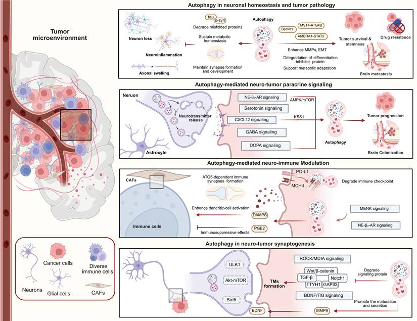 Theranostics Image