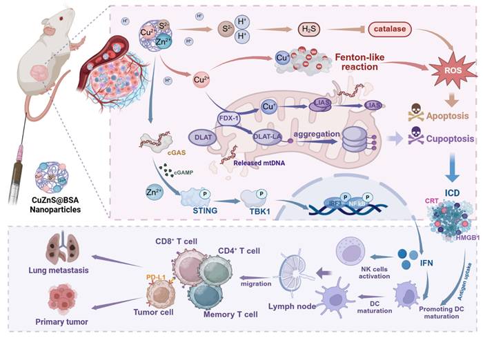 Theranostics Image