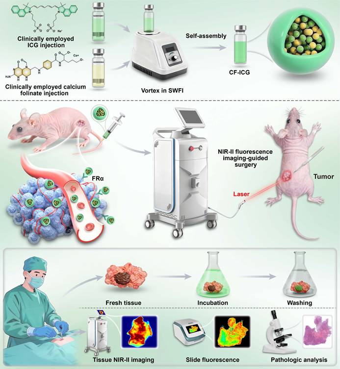 Theranostics Image