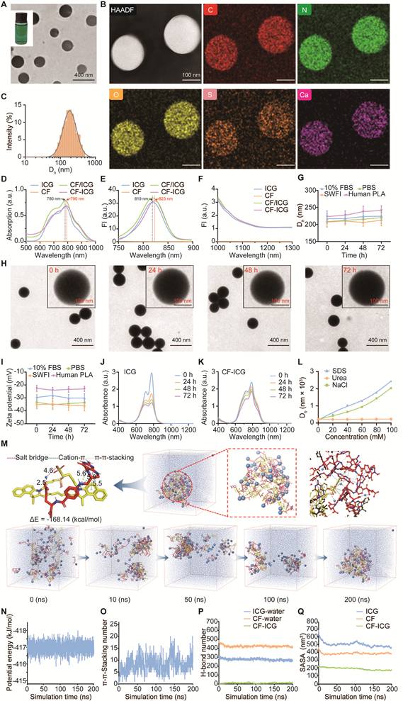 Theranostics Image